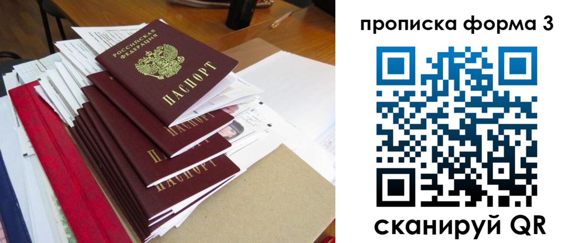 прописка 2025 в Ногинске
